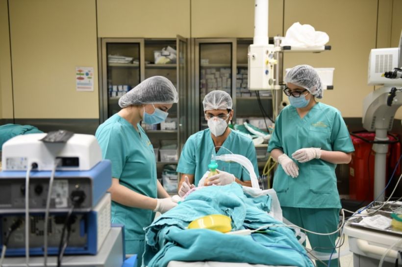 Cochlear implant surgeries start on people with hearing deficiency with support of Heydar Aliyev Foundation