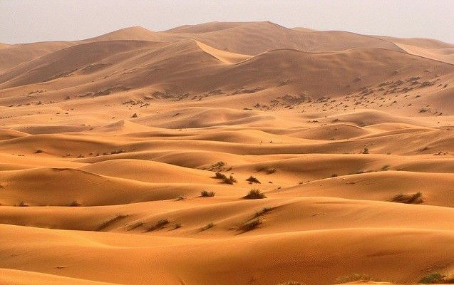 В самой жаркой пустыне планеты нашли новый вид ракообразных