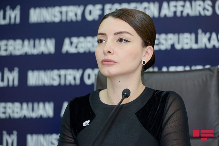 Fransalı deputatlar Qarabağa qanuni şəkildə getməsələr, sanksiyalarla üzləşəcəklər