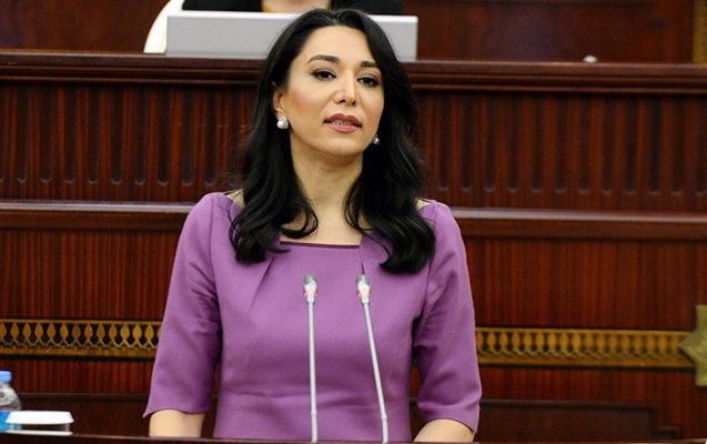 Azərbaycan Ombudsmanından Metsamor AES-lə bağlı BƏYANAT