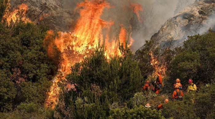 Yardımlıdan sonra Lənkəranda meşə yanğını məhdudlaşdırılıb