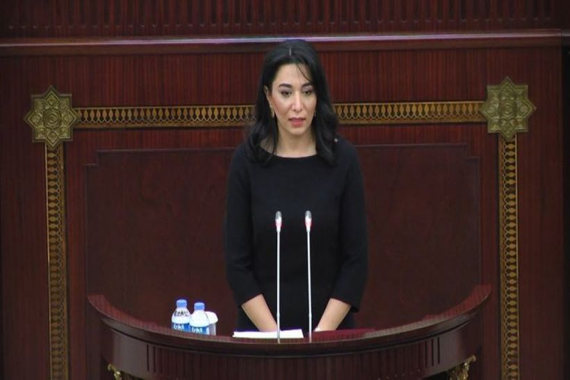 Parlament Ombudsmanın hesabatını qəbul edib