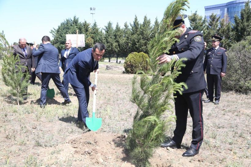 Şəmkirdə ulu öndərin xatirəsinə ağacəkmə aksiyası 