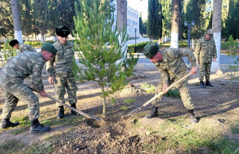 Azərbaycan Ordusunda ağacəkmə aksiyaları keçirilir